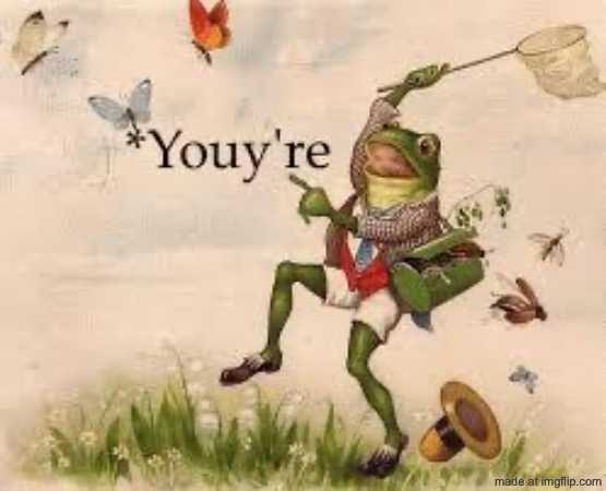 Wrong correction | image tagged in wrong correction | made w/ Imgflip meme maker