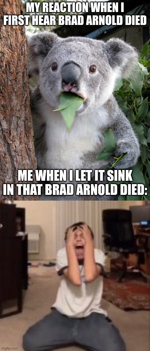 RIP BRO! YOU WILL BE MISSED! | MY REACTION WHEN I FIRST HEAR BRAD ARNOLD DIED; ME WHEN I LET IT SINK IN THAT BRAD ARNOLD DIED: | image tagged in memes,surprised koala,three doors down brad arnold,brad arnold,three doors down | made w/ Imgflip meme maker