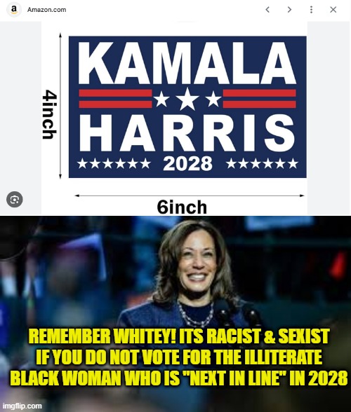 Amazon already gearing up for a Kamala Harris 2028 Presidential bid | REMEMBER WHITEY! ITS RACIST & SEXIST IF YOU DO NOT VOTE FOR THE ILLITERATE BLACK WOMAN WHO IS "NEXT IN LINE" IN 2028 | image tagged in potus,kamala harris,amazon,2028,presidential election,walz | made w/ Imgflip meme maker