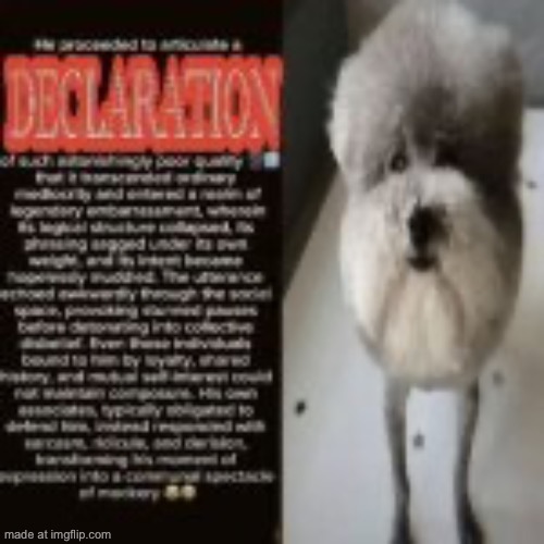 made w/ Imgflip meme maker