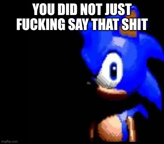 Sonic is PISSED | YOU DID NOT JUST FUCKING SAY THAT SHIT | image tagged in sonic is pissed | made w/ Imgflip meme maker