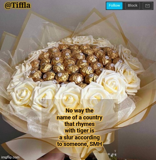 Literally not a slur | No way the name of a country that rhymes with tiger is a slur according to someone, SMH | image tagged in tiffla valentine's day announcement template | made w/ Imgflip meme maker