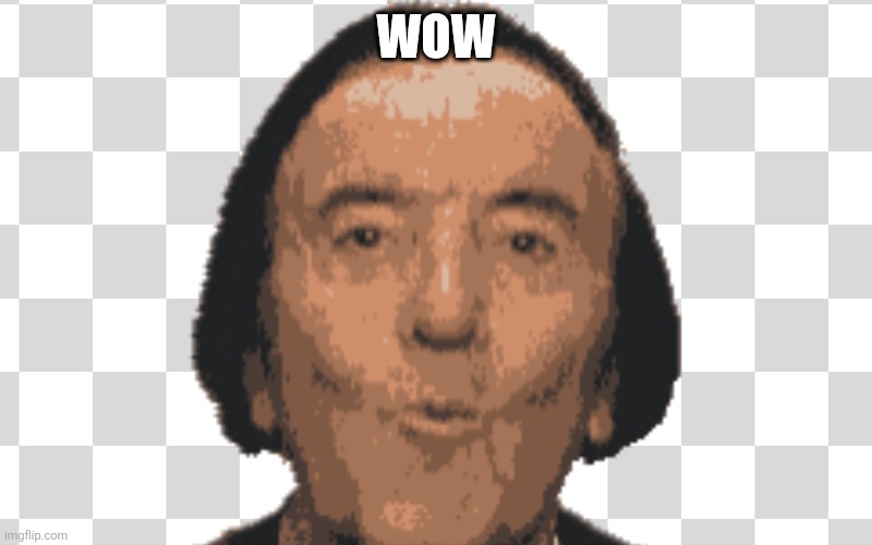 WOW | image tagged in memes | made w/ Imgflip meme maker