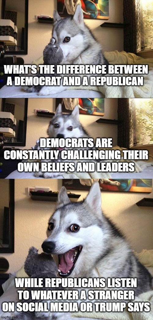 Because I know you guys stalk my profile, look, i've posted on the Real Politics before, posted Republican and Centrist memes | WHAT'S THE DIFFERENCE BETWEEN A DEMOCRAT AND A REPUBLICAN; DEMOCRATS ARE CONSTANTLY CHALLENGING THEIR OWN BELIEFS AND LEADERS; WHILE REPUBLICANS LISTEN TO WHATEVER A STRANGER ON SOCIAL MEDIA OR TRUMP SAYS | image tagged in memes,bad pun dog | made w/ Imgflip meme maker