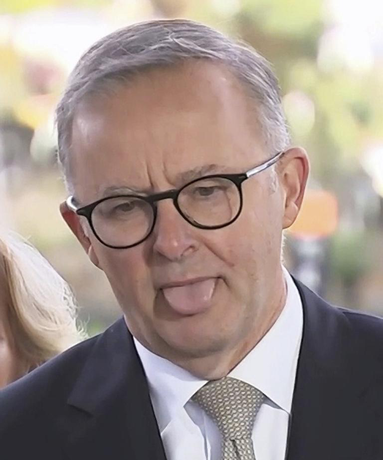 ANTHONY ALBANESE VILLAGE IDIOT Blank Meme Template