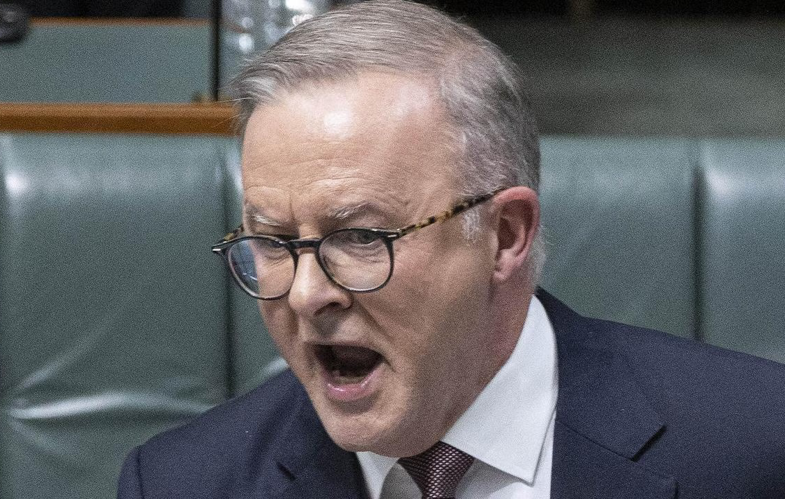 ANTHONY ALBANESE VILLAGE IDIOT Blank Meme Template