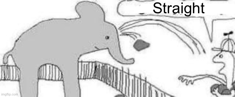 Gay elephant | Straight | image tagged in gay elephant | made w/ Imgflip meme maker