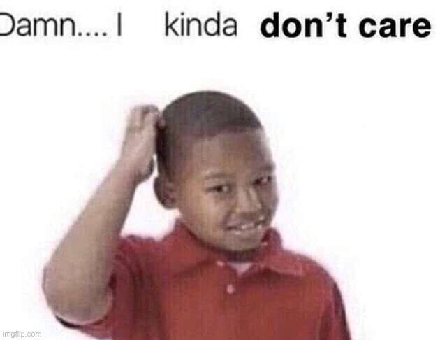Probably one of my favorite reaction images | image tagged in damn i kinda dont care | made w/ Imgflip meme maker