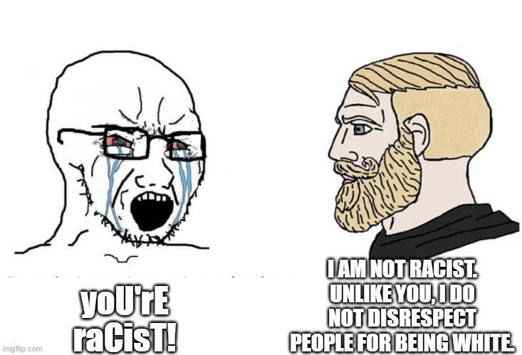 We are not Racist | I AM NOT RACIST. UNLIKE YOU, I DO NOT DISRESPECT PEOPLE FOR BEING WHITE. yoU'rE raCisT! | image tagged in soyboy vs yes chad,memes,racism | made w/ Imgflip meme maker