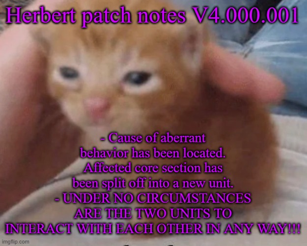 Herbert | Herbert patch notes V4.000.001; - Cause of aberrant behavior has been located. Affected core section has been split off into a new unit.
- UNDER NO CIRCUMSTANCES ARE THE TWO UNITS TO INTERACT WITH EACH OTHER IN ANY WAY!!! | image tagged in herbert | made w/ Imgflip meme maker