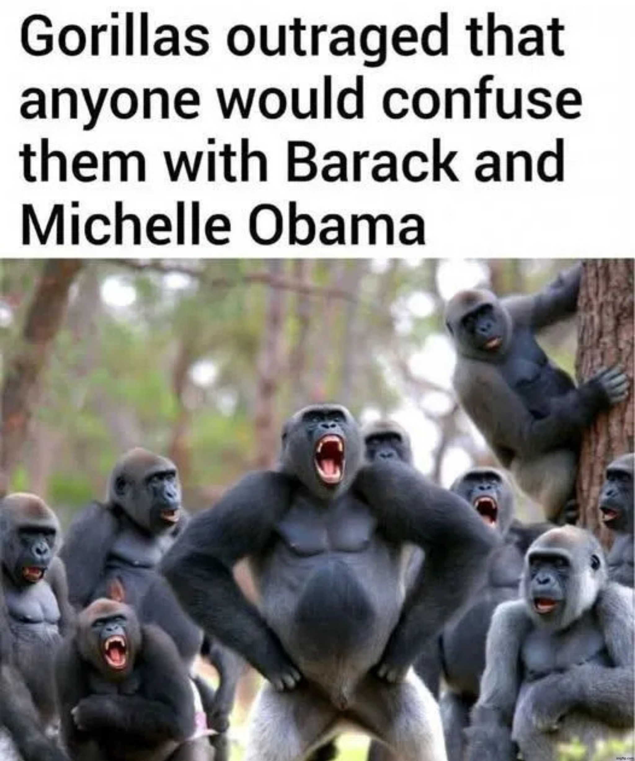 Monkeygate 2.0 | image tagged in bubba and barack,monkey business,shocked monkey,magilla gorilla,go home obama you're drunk,banana power | made w/ Imgflip meme maker