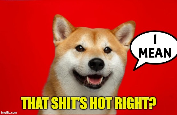 DogePadre Says | I
MEAN THAT SHIT'S HOT RIGHT? | image tagged in dogepadre says | made w/ Imgflip meme maker