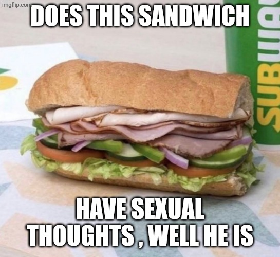 Subway sandwich | DOES THIS SANDWICH HAVE SEXUAL THOUGHTS , WELL HE IS | image tagged in subway sandwich | made w/ Imgflip meme maker