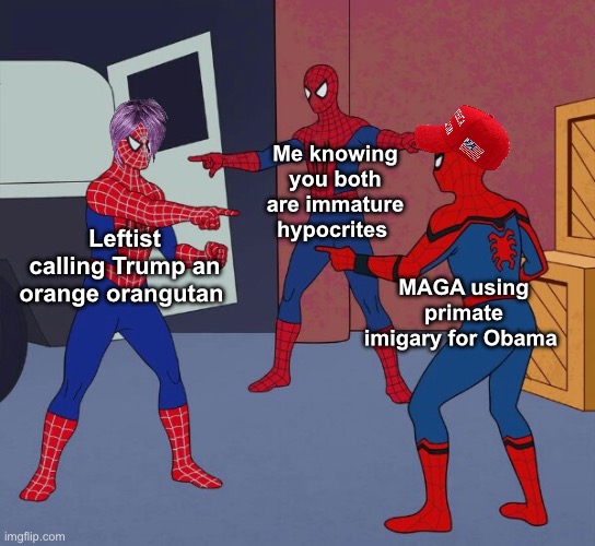 Spider Man Triple | Me knowing you both are immature hypocrites; Leftist calling Trump an orange orangutan; MAGA using primate imigary for Obama | image tagged in spider man triple,politics lol,memes | made w/ Imgflip meme maker