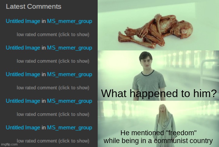 Quick way to get shipped to a prison camp | He mentioned "freedom" while being in a communist country | image tagged in low rated comments | made w/ Imgflip meme maker