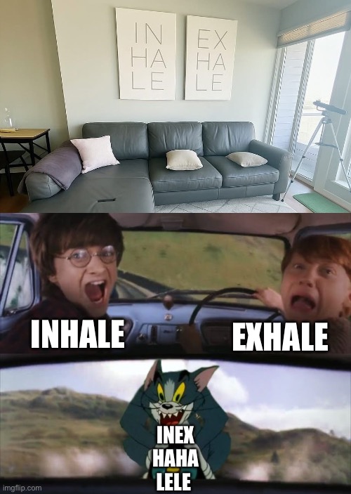 Remember to Haha Lele | EXHALE; INHALE; INEX
HAHA
LELE | image tagged in tom chasing harry and ron weasly,godzilla had a stroke trying to read this and fricking died,what,breathe,stupid signs | made w/ Imgflip meme maker