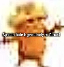 he was lowkey based af | Epstein hate is genuinely so forced | image tagged in the lowrax | made w/ Imgflip meme maker