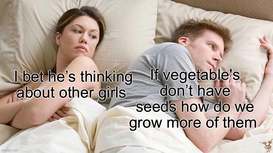 Where do carrots come from | If vegetable's don’t have seeds how do we grow more of them; I bet he’s thinking about other girls | image tagged in memes,i bet he's thinking about other women | made w/ Imgflip meme maker