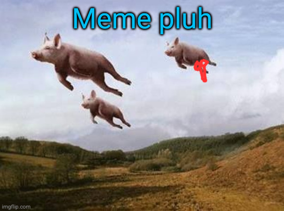 meme plugg | Meme pluh | image tagged in pigs fly,meme plug,fun stream,funny,baby,insta | made w/ Imgflip meme maker