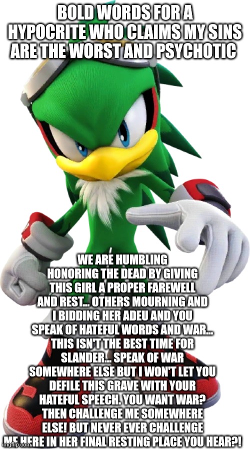 Jet the Hawk | BOLD WORDS FOR A HYPOCRITE WHO CLAIMS MY SINS ARE THE WORST AND PSYCHOTIC WE ARE HUMBLING HONORING THE DEAD BY GIVING THIS GIRL A PROPER FAR | image tagged in jet the hawk | made w/ Imgflip meme maker