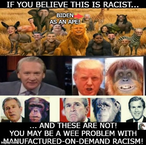 politics | BIDEN AS AN APE! | image tagged in political meme | made w/ Imgflip meme maker