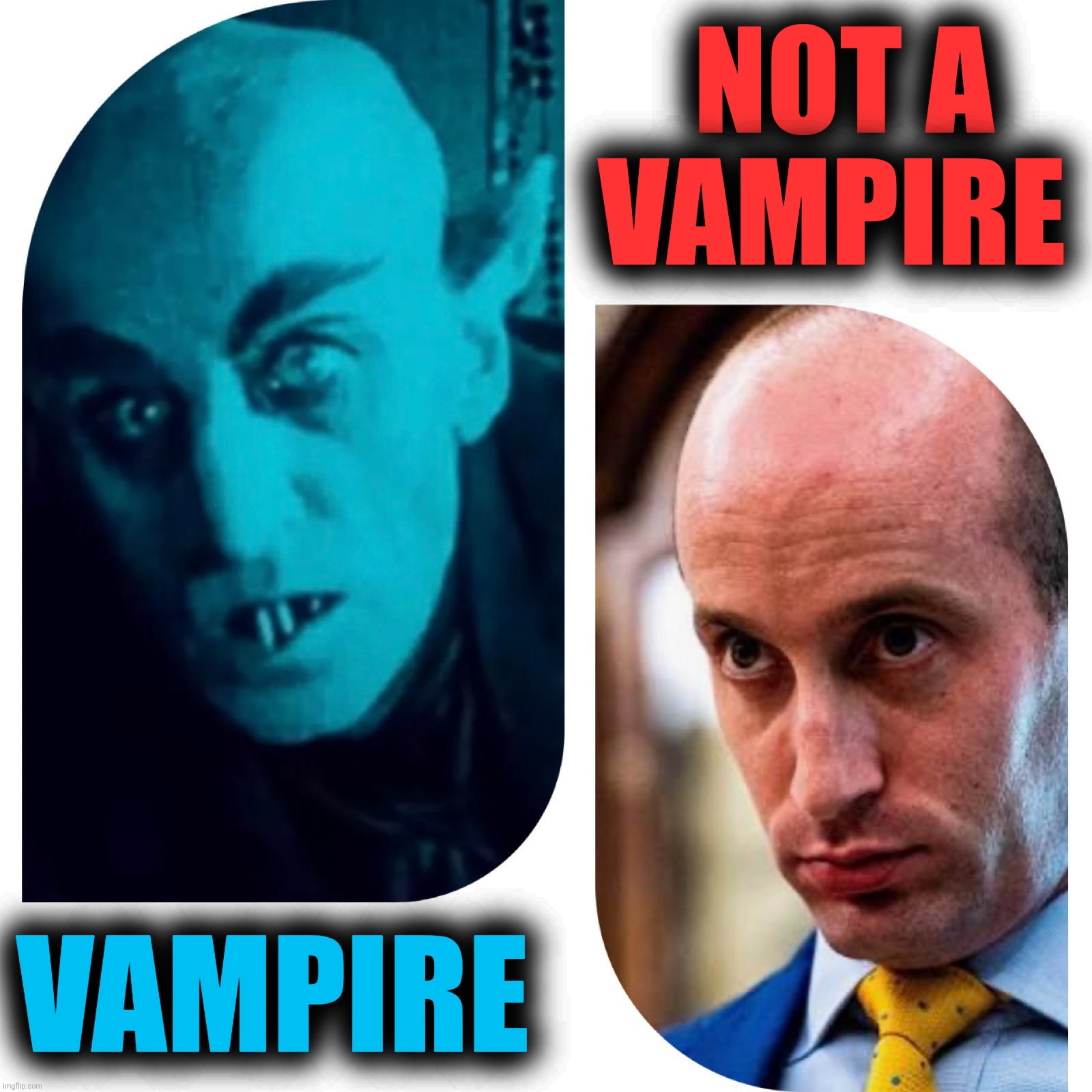 This whole Stephen Miller is a vampire thing is absolutely preposterous and should only be discussed in strong sunlight. | NOT A VAMPIRE; VAMPIRE | image tagged in stephen miller,vampire,sunlight,nosferatu | made w/ Imgflip meme maker