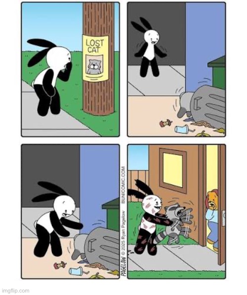 Buni Comics | image tagged in comics,buni comics,lost cat,raccoon,vicious,wrong animal | made w/ Imgflip meme maker