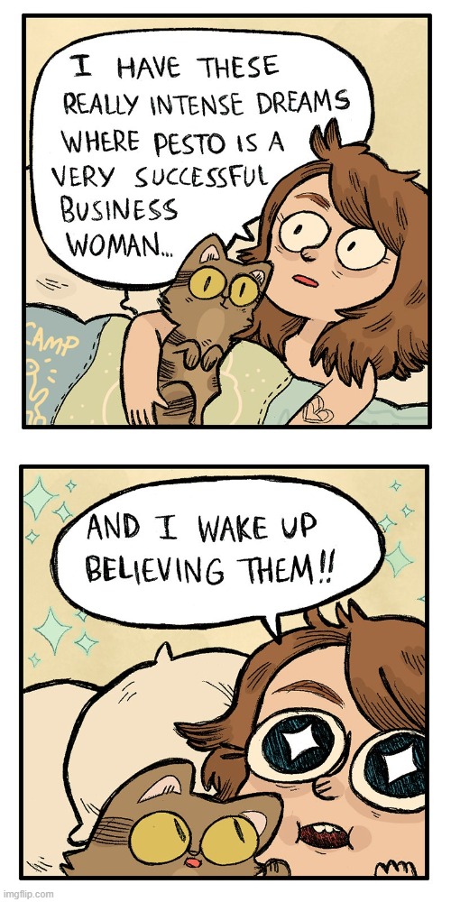 image tagged in dream,cat,successful,business,woman,haha | made w/ Imgflip meme maker