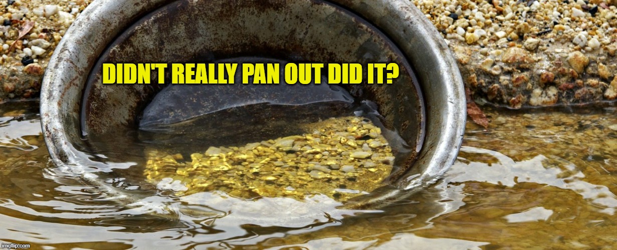 gold panning | DIDN'T REALLY PAN OUT DID IT? | image tagged in gold panning | made w/ Imgflip meme maker