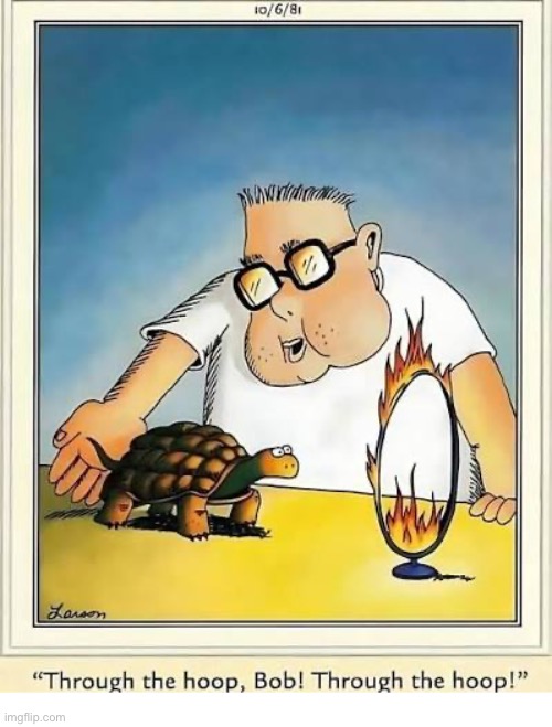This might take a while… | image tagged in the far side,comics,boy,turtle,flaming hoop,jump through | made w/ Imgflip meme maker