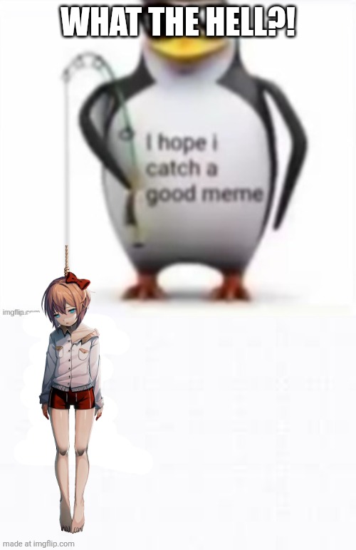 What the hell bro why did you do that | WHAT THE HELL?! | image tagged in i hope i catch a good meme l,what the hell happened here,sayori,oh wow are you actually reading these tags | made w/ Imgflip meme maker