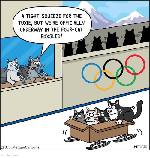 It’s Winter Olympics time again… | image tagged in cats,comics,bobsled,olympics,4 cats,a tight squeeze | made w/ Imgflip meme maker