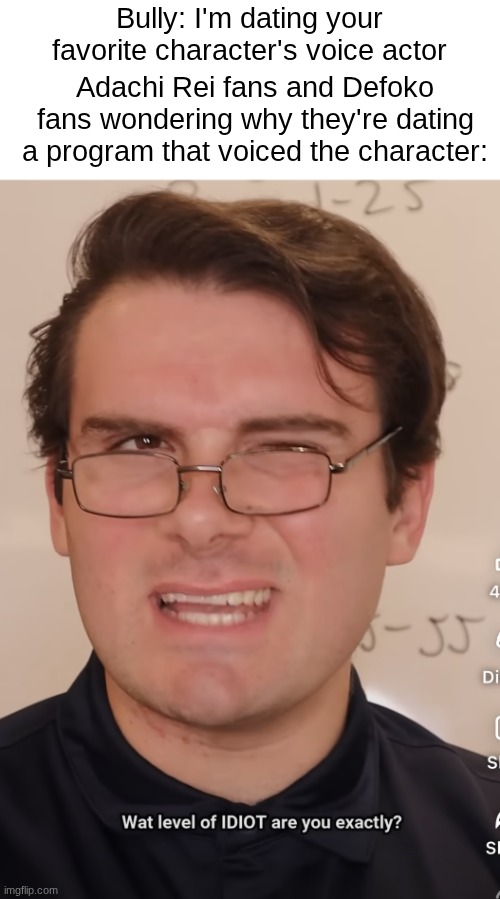 this is why you always check before you choose to do it | Bully: I'm dating your favorite character's voice actor; Adachi Rei fans and Defoko fans wondering why they're dating a program that voiced the character: | image tagged in so what level of idiot are you exactly,adachi rei,defoko,utau,memes,bullying is bad | made w/ Imgflip meme maker