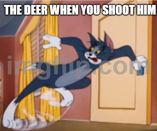 guess what game this is from part 2 | THE DEER WHEN YOU SHOOT HIM | image tagged in running tom | made w/ Imgflip meme maker