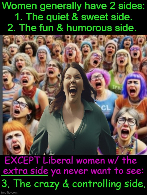 We Are NOT The Same | Women generally have 2 sides:

1. The quiet & sweet side.

2. The fun & humorous side. EXCEPT Liberal women w/ the  
extra side ya never want to see:; ______; 3. The crazy & controlling side. | image tagged in women,liberal,triggered feminist,sjws,angry sjw,political humor | made w/ Imgflip meme maker