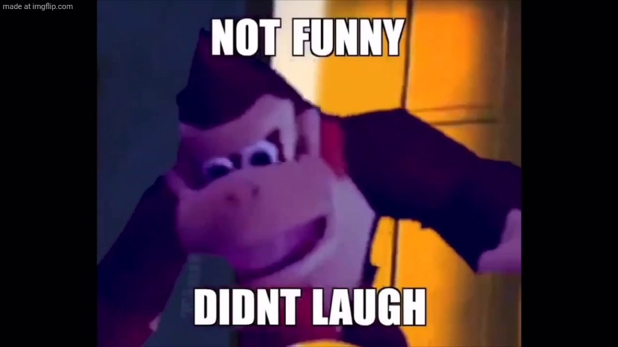 Not funny didn't laugh | image tagged in not funny didn't laugh | made w/ Imgflip meme maker