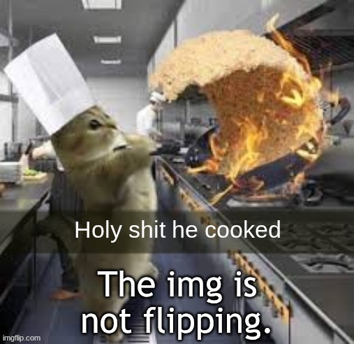 Internet was slow. | The img is not flipping. | image tagged in holy shit he cooked | made w/ Imgflip meme maker