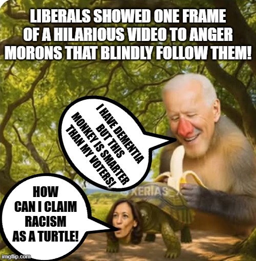 Liberals are mindless moron robots! | HOW CAN I CLAIM RACISM AS A TURTLE! | image tagged in morons,robotnik pressing red button | made w/ Imgflip meme maker