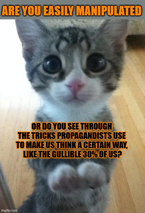 This #lolcat wonders why huu-mens are so gullible | ARE YOU EASILY MANIPULATED; OR DO YOU SEE THROUGH 
THE TRICKS PROPAGANDISTS USE 
TO MAKE US THINK A CERTAIN WAY, 
LIKE THE GULLIBLE 30% OF US? | image tagged in gullible,lolcat,manipulation,propaganda | made w/ Imgflip meme maker