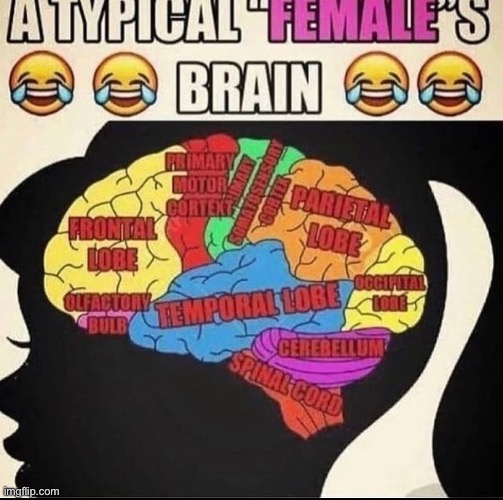 Get #owned, “females”! XD XD #epicroasts | made w/ Imgflip meme maker