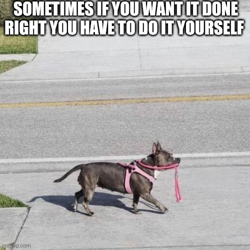 Sometimes If You Want It Done Right You Have To Do It Yourself | SOMETIMES IF YOU WANT IT DONE RIGHT YOU HAVE TO DO IT YOURSELF | image tagged in funny memes | made w/ Imgflip meme maker