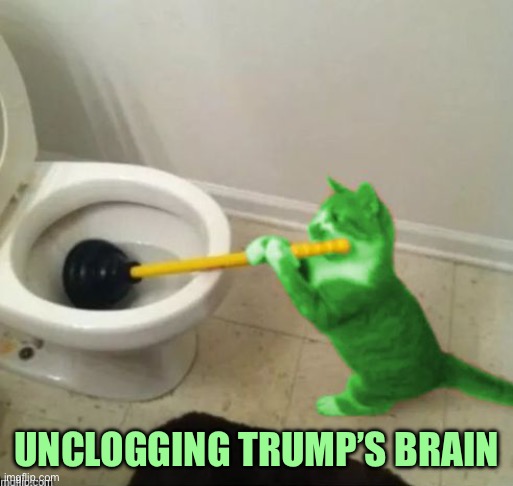 RayCat's toilet | UNCLOGGING TRUMP’S BRAIN | image tagged in raycat's toilet | made w/ Imgflip meme maker