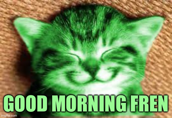 happy RayCat | GOOD MORNING FREN | image tagged in happy raycat | made w/ Imgflip meme maker