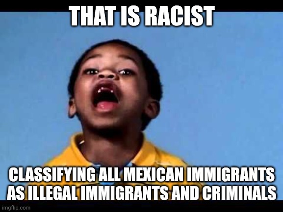 That's racist 2 | THAT IS RACIST CLASSIFYING ALL MEXICAN IMMIGRANTS AS ILLEGAL IMMIGRANTS AND CRIMINALS | image tagged in that's racist 2 | made w/ Imgflip meme maker