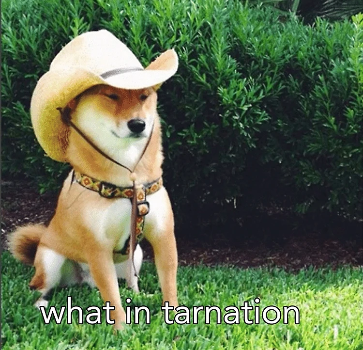 what in tarnation dog Blank Meme Template