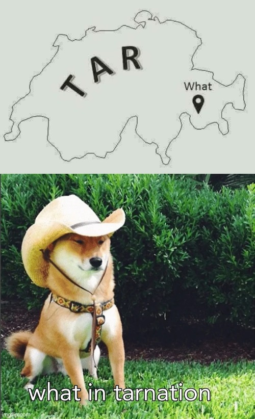 what, located in tar nation | image tagged in what in tarnation dog,map,dog,meme | made w/ Imgflip meme maker