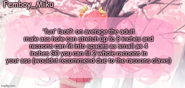 Femboy Miku sakura miku announcement | "fun" fact?: on average the adult male ass hole can stretch up to 8 inches and racoons can fit into spaces as small as 4 inches SO you can fit 2 whole racoons in your ass (wouldnt recommend due to the racoons claws) | image tagged in femboy miku sakura miku announcement | made w/ Imgflip meme maker
