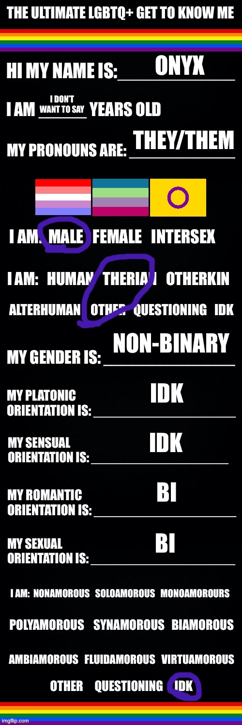 yee | ONYX; I DON’T WANT TO SAY; THEY/THEM; NON-BINARY; IDK; IDK; BI; BI | image tagged in the ultimate lgbtq get to know me | made w/ Imgflip meme maker