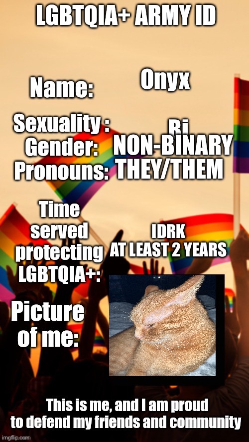 Fihwefiwrufhrfkdjfnw | Onyx; Bi; NON-BINARY; THEY/THEM; IDRK
AT LEAST 2 YEARS | image tagged in lgbtqia army id | made w/ Imgflip meme maker
