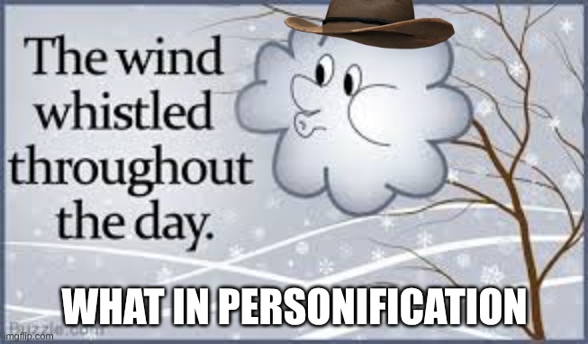 WHAT IN PERSONIFICATION | image tagged in what in tarnation,meme,cowboy hat | made w/ Imgflip meme maker